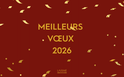 Meilleurs Voeux 2026