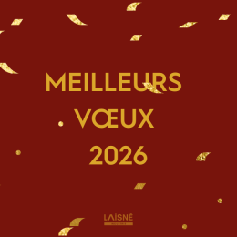 Meilleurs Voeux 2026